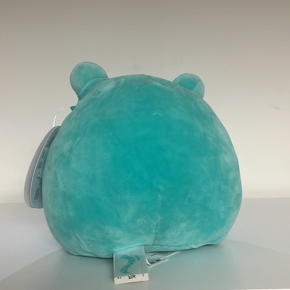 Robert the frog road squishmallow stuffed animal plush toy with tags - Picture 3 of 5